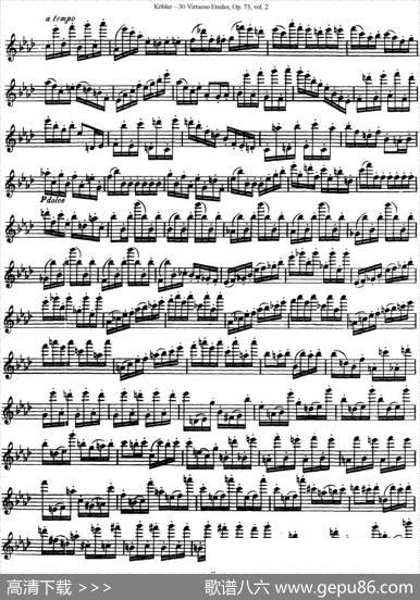 柯勒30首高级长笛练习曲作品75号（NO.19）|Kohler(柯勒)