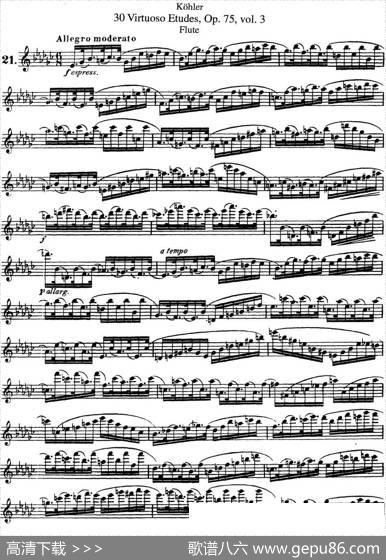 柯勒30首高级长笛练习曲作品75号（NO.21）|Kohler(柯勒)