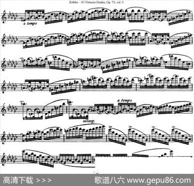 柯勒30首高级长笛练习曲作品75号（NO.21）|Kohler(柯勒)