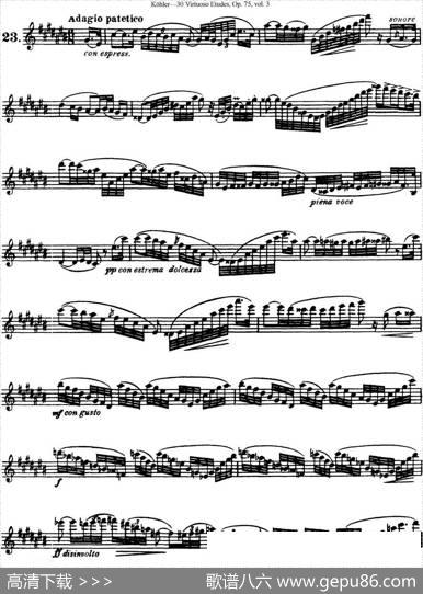 柯勒30首高级长笛练习曲作品75号（NO.23）|Kohler(柯勒)