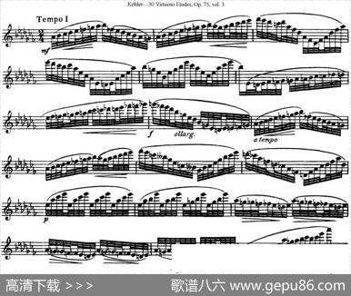 柯勒30首高级长笛练习曲作品75号（NO.24）|Kohler(柯勒)
