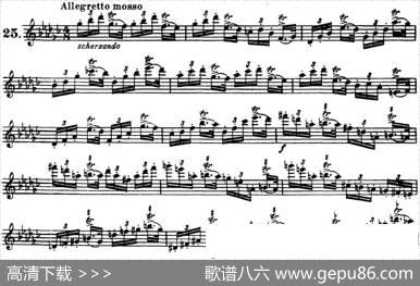柯勒30首高级长笛练习曲作品75号（NO.25）|Kohler(柯勒)