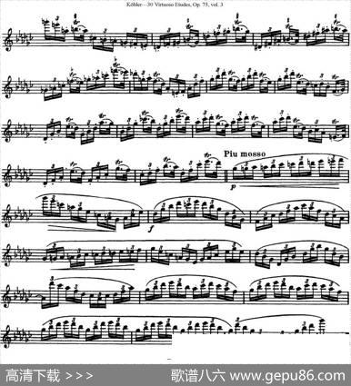 柯勒30首高级长笛练习曲作品75号（NO.25）|Kohler(柯勒)