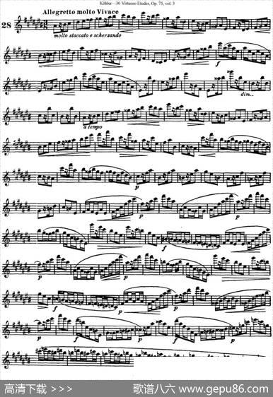 柯勒30首高级长笛练习曲作品75号（NO.28）|Kohler(柯勒)