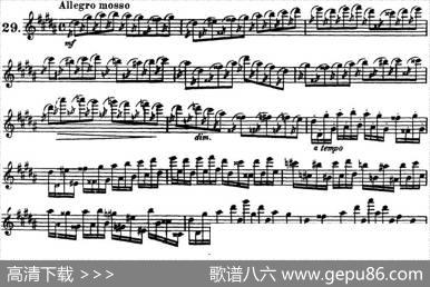 柯勒30首高级长笛练习曲作品75号（NO.29）|Kohler(柯勒)