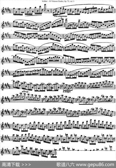 柯勒30首高级长笛练习曲作品75号（NO.29）|Kohler(柯勒)