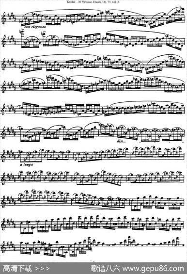 柯勒30首高级长笛练习曲作品75号（NO.29）|Kohler(柯勒)