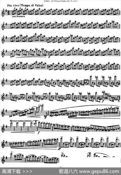 柯勒30首高级长笛练习曲作品75号（NO.30）|Kohler(柯勒)