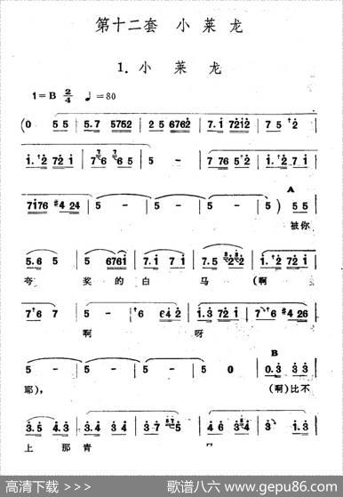 小莱龙（新疆伊犁维吾尔民歌第十二套《小莱龙》）