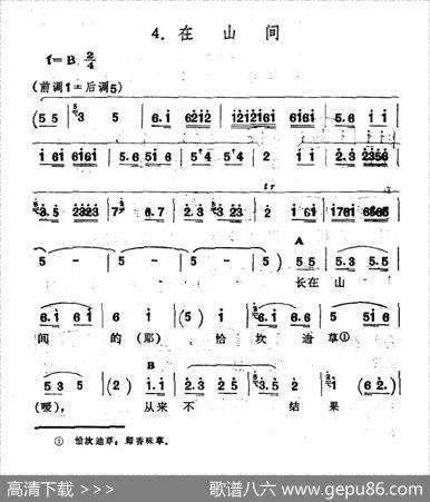 在山间（新疆伊犁维吾尔民歌第十二套《小莱龙》）