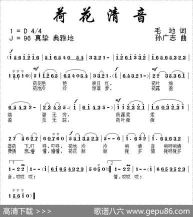 荷花清音 - 毛地|孙广志