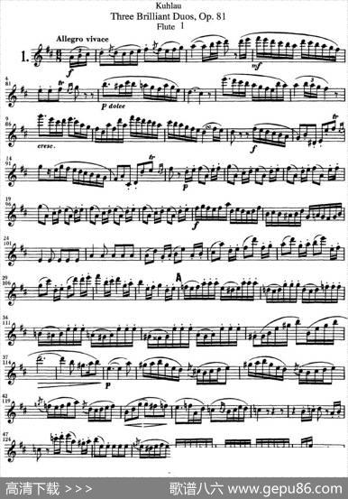 库劳长笛二重奏练习三段OP.81——Flute1（NO.1）|Kuhlau(库劳)