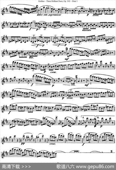 库劳长笛二重奏练习三段OP.102——Flute1（NO.1）|Kuhlau(库劳)