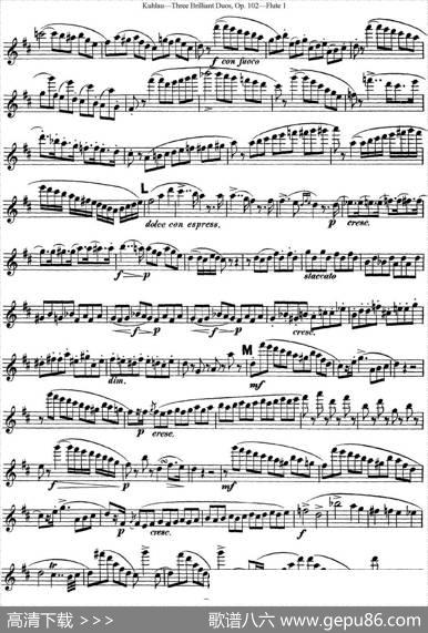 库劳长笛二重奏练习三段OP.102——Flute1（NO.1）|Kuhlau(库劳)