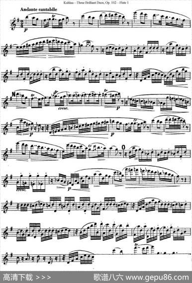 库劳长笛二重奏练习三段OP.102——Flute1（NO.1）|Kuhlau(库劳)