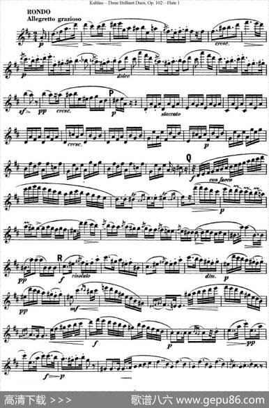 库劳长笛二重奏练习三段OP.102——Flute1（NO.1）|Kuhlau(库劳)