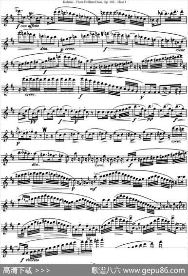 库劳长笛二重奏练习三段OP.102——Flute1（NO.1）|Kuhlau(库劳)
