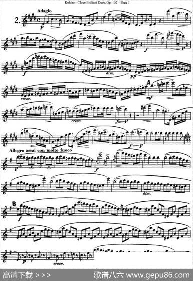 库劳长笛二重奏练习三段OP.102——Flute1（NO.2）|Kuhlau(库劳)