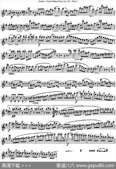 库劳长笛二重奏练习三段OP.102——Flute1（NO.2）|Kuhlau(库劳)