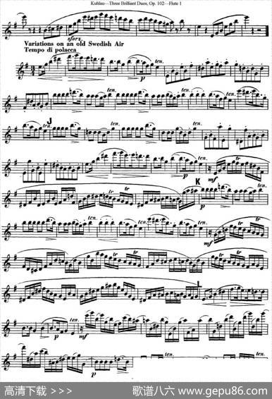 库劳长笛二重奏练习三段OP.102——Flute1（NO.2）|Kuhlau(库劳)