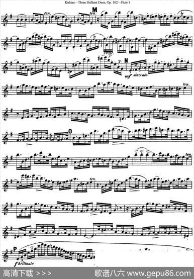 库劳长笛二重奏练习三段OP.102——Flute1（NO.2）|Kuhlau(库劳)