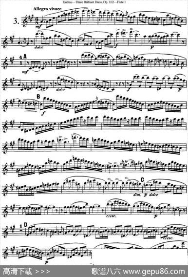 库劳长笛二重奏练习三段OP.102——Flute1（NO.3）|Kuhlau(库劳)