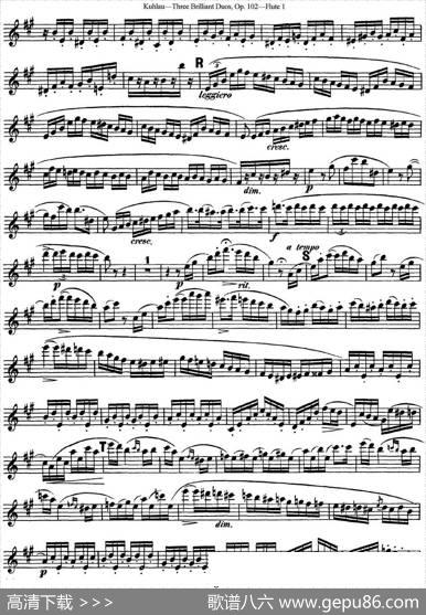 库劳长笛二重奏练习三段OP.102——Flute1（NO.3）|Kuhlau(库劳)