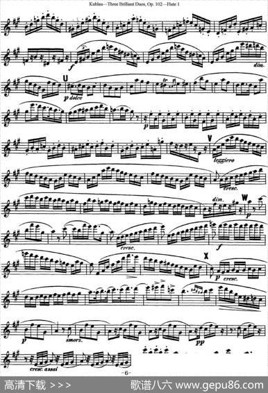 库劳长笛二重奏练习三段OP.102——Flute1（NO.3）|Kuhlau(库劳)