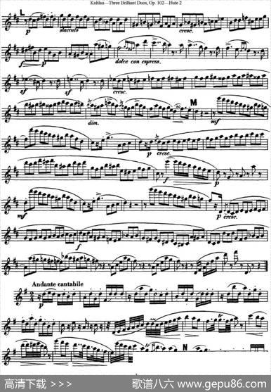 库劳长笛二重奏练习三段OP.102——Flute2（NO.1）|Kuhlau(库劳)