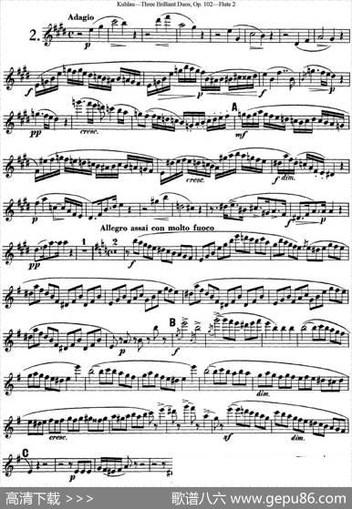 库劳长笛二重奏练习三段OP.102——Flute2（NO.2）|Kuhlau(库劳)