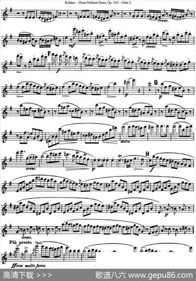 库劳长笛二重奏练习三段OP.102——Flute2（NO.2）|Kuhlau(库劳)