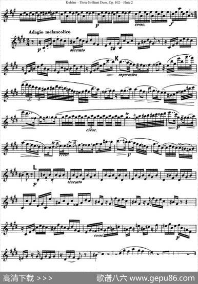 库劳长笛二重奏练习三段OP.102——Flute2（NO.3）|Kuhlau(库劳)