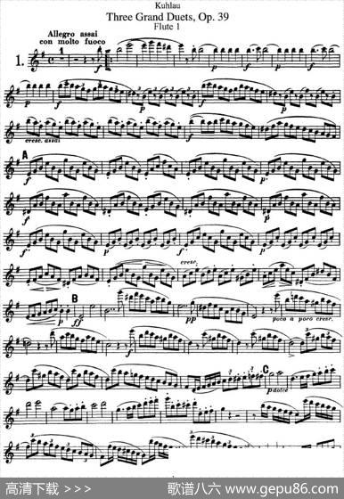 库劳长笛二重奏大练习曲Op.39——Flute1（No.1）|Kuhlau(库劳)