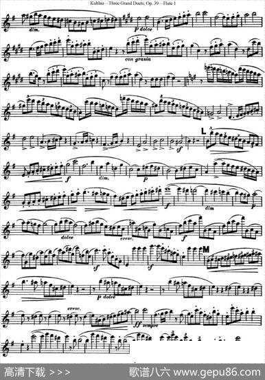 库劳长笛二重奏大练习曲Op.39——Flute1（No.1）|Kuhlau(库劳)