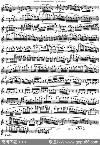 库劳长笛二重奏大练习曲Op.39——Flute1（No.1）|Kuhlau(库劳)