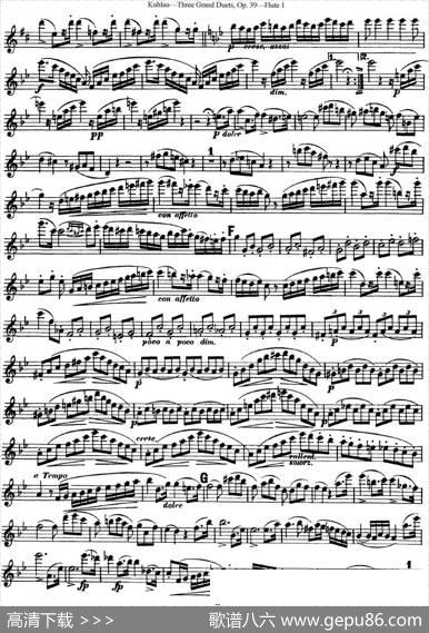 库劳长笛二重奏大练习曲Op.39——Flute1（No.2）|Kuhlau(库劳)