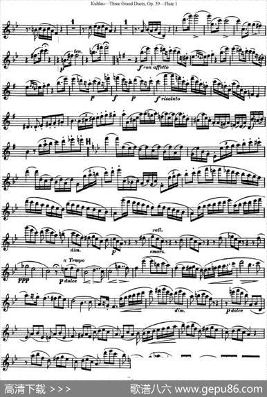 库劳长笛二重奏大练习曲Op.39——Flute1（No.2）|Kuhlau(库劳)