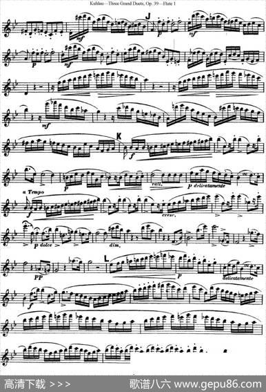 库劳长笛二重奏大练习曲Op.39——Flute1（No.2）|Kuhlau(库劳)