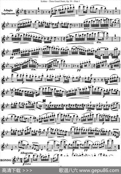 库劳长笛二重奏大练习曲Op.39——Flute1（No.2）|Kuhlau(库劳)