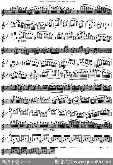 库劳长笛二重奏大练习曲Op.39——Flute1（No.2）|Kuhlau(库劳)
