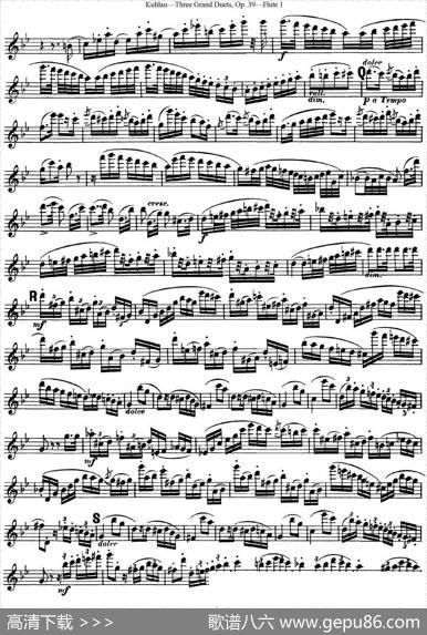 库劳长笛二重奏大练习曲Op.39——Flute1（No.2）|Kuhlau(库劳)