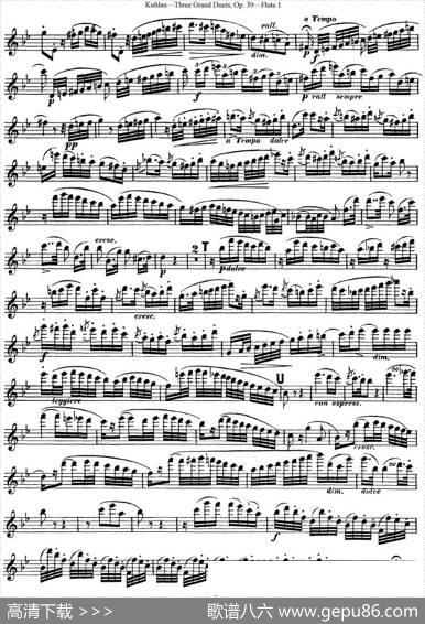 库劳长笛二重奏大练习曲Op.39——Flute1（No.2）|Kuhlau(库劳)