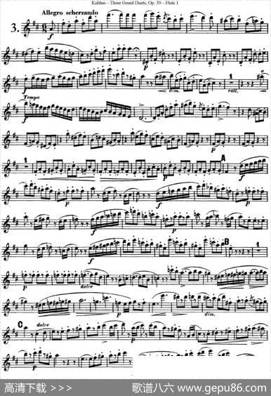 库劳长笛二重奏大练习曲Op.39——Flute1（No.3）|Kuhlau(库劳)