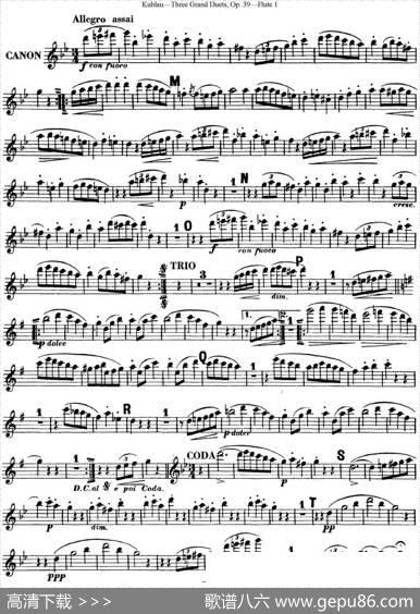库劳长笛二重奏大练习曲Op.39——Flute1（No.3）|Kuhlau(库劳)