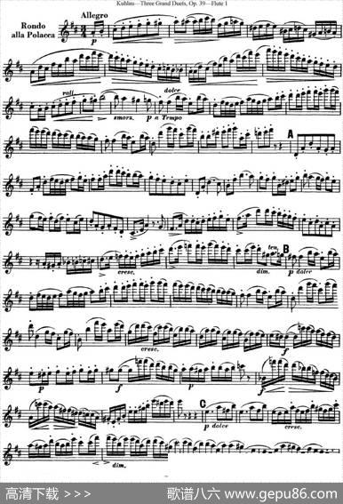 库劳长笛二重奏大练习曲Op.39——Flute1（No.3）|Kuhlau(库劳)