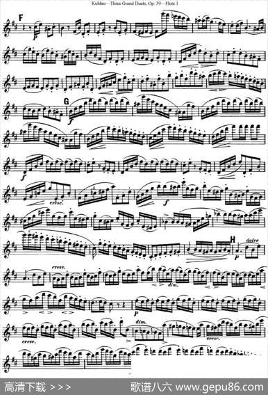 库劳长笛二重奏大练习曲Op.39——Flute1（No.3）|Kuhlau(库劳)