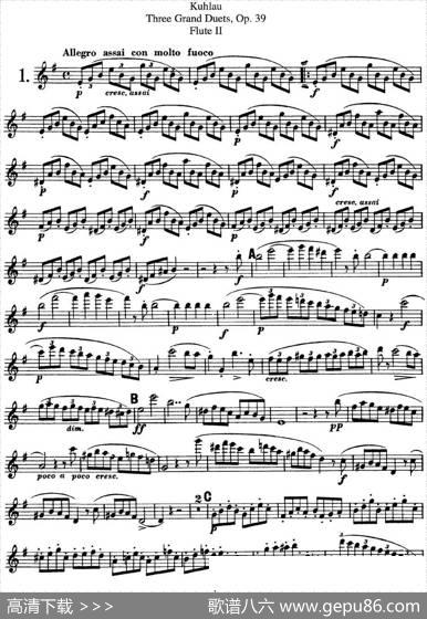 库劳长笛二重奏大练习曲Op.39——Flute2（No.1）|Kuhlau(库劳)