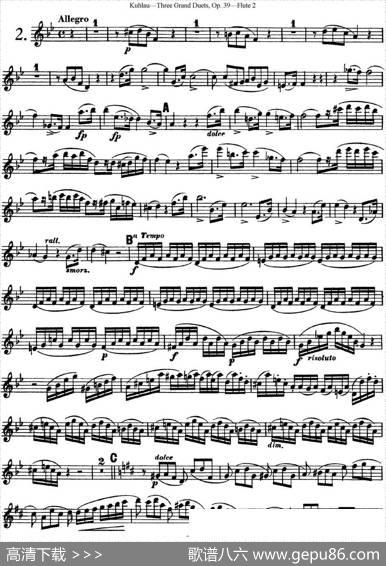 库劳长笛二重奏大练习曲Op.39——Flute2（No.2）|Kuhlau(库劳)