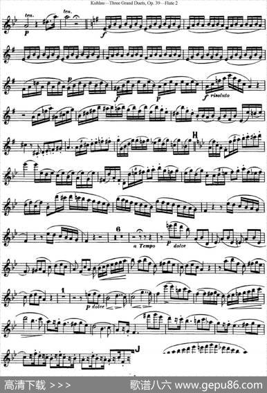 库劳长笛二重奏大练习曲Op.39——Flute2（No.2）|Kuhlau(库劳)