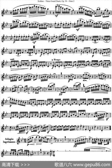 库劳长笛二重奏大练习曲Op.39——Flute2（No.2）|Kuhlau(库劳)